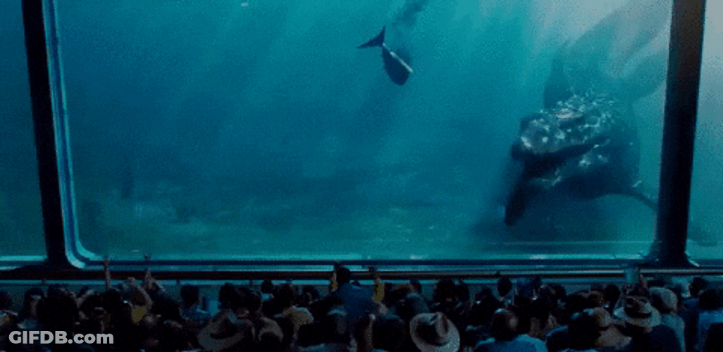 Underwater Observatory Mosasaurus GIF
