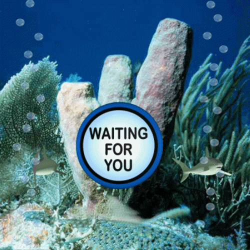 Underwater Waiting For You GIF