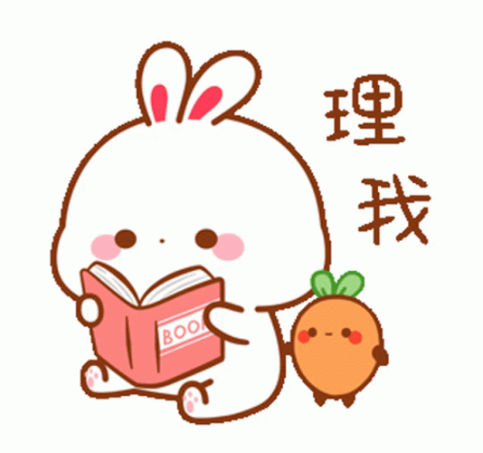 Undisturbed Bunny Reading A Book GIF
