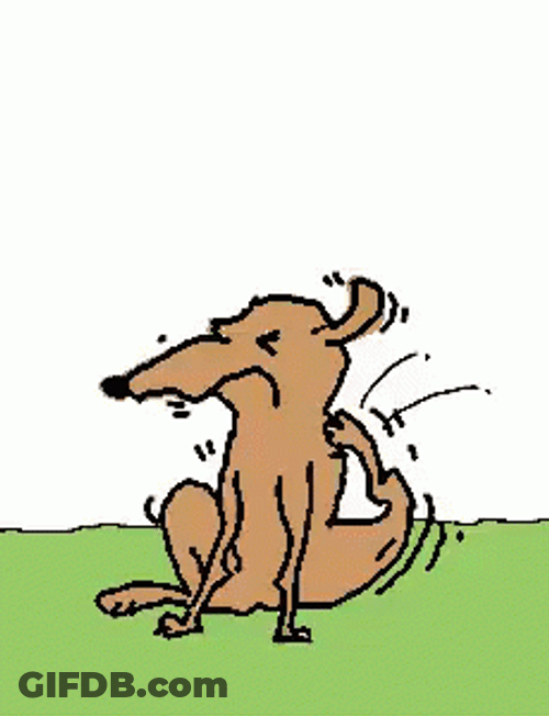 Uneasy Dog Itchy All Over GIF