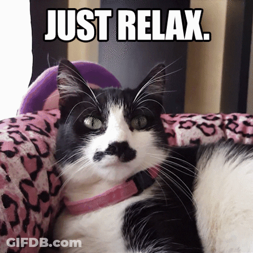 Unfazed Kitty Just Relax Funny Meme GIF