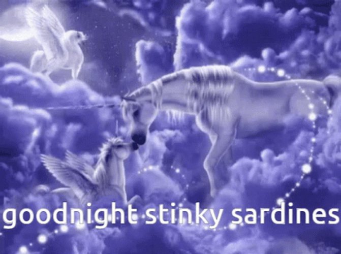 Unicorn Goodnight Stinky Sardines GIF
