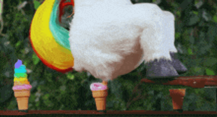 Unicorn Poop GIF