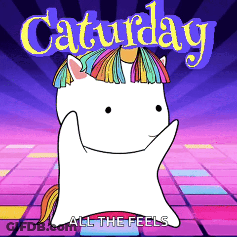 Unicorn Saturday All The Feels GIF