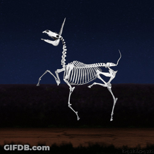 Unicorn Skeleton Running Happily GIF