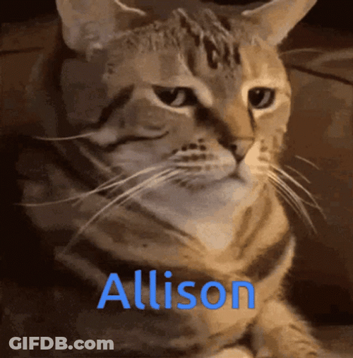 Unimpressed Cat Allison GIF