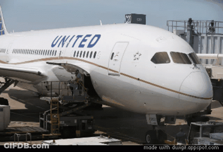 United Airlines Cool Savage Sunglasses GIF