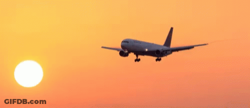 United Airlines Plane Flying In Sunset GIF