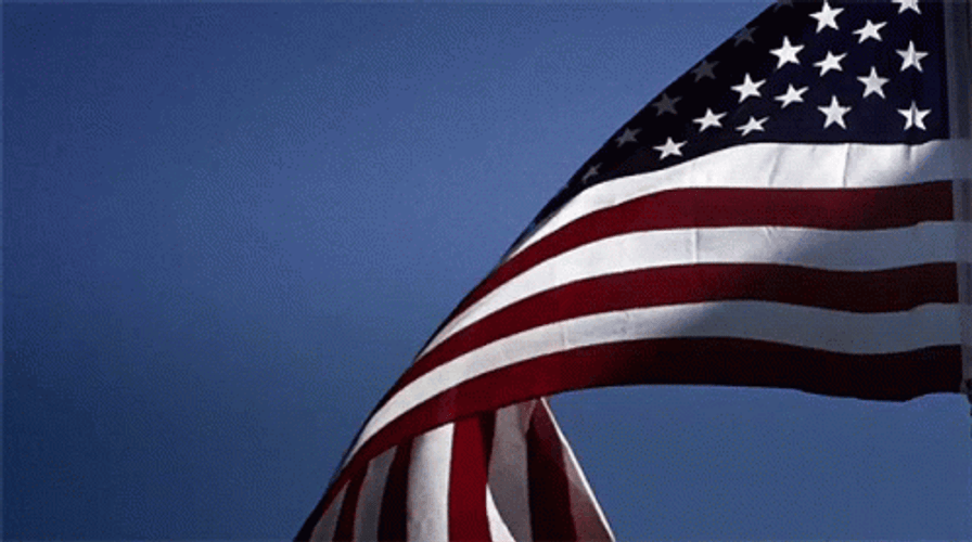 United Stated Of America Waving Flag GIF