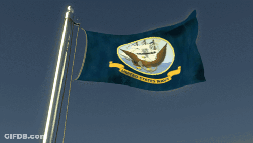 United States Navy Flag Flying In Wind GIF