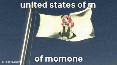 United States Of Momone Flag With Maid GIF