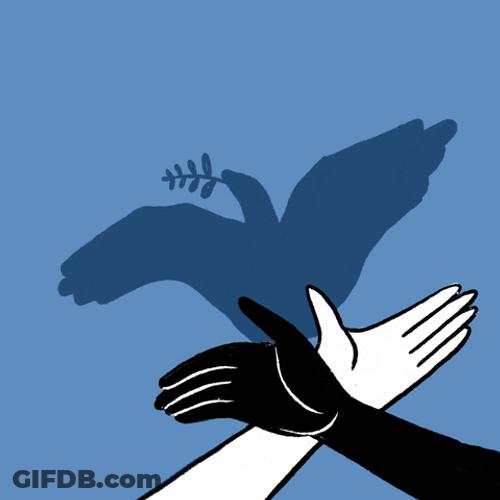 Unity Over Division Inauguration Day Resolution GIF
