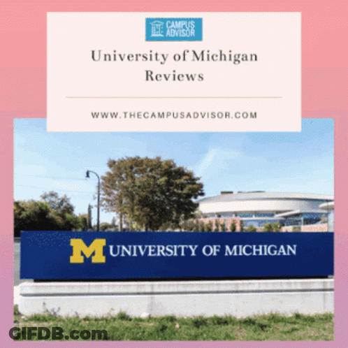 University Of Michigan Sign In Front Of Building GIF