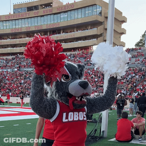 University Of New Mexico Mascot Cheering GIF
