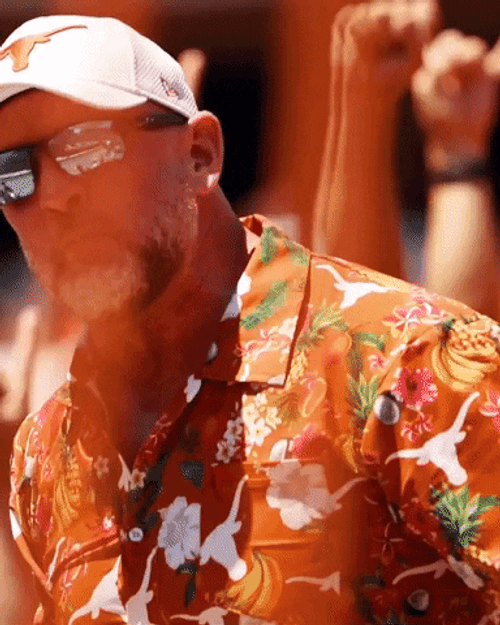 University Of Texas Softball Longhorns GIF