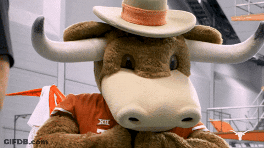 University Texas Mascot Longhorns GIF