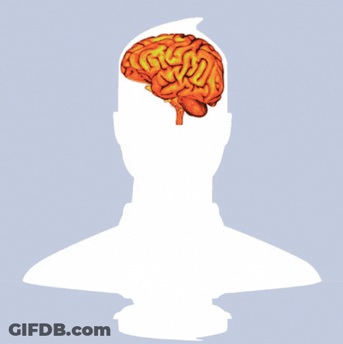 Unknown Dp Brain Display Profile Picture GIF