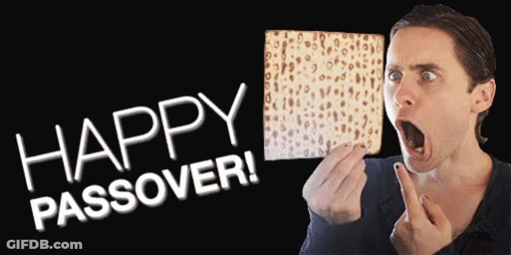 Unleavened Cracker For Passover GIF