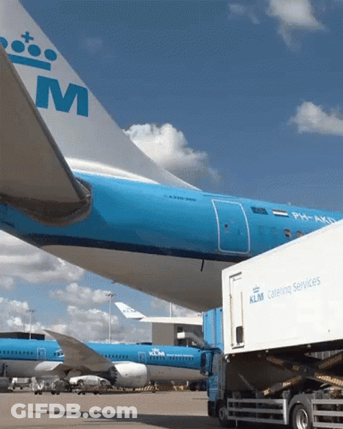 Unnoticed Snakes On A Plane GIF