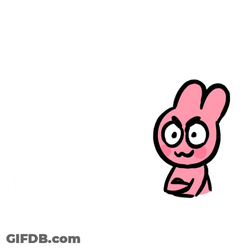 Uno Reverse Card Cat Surprise GIF