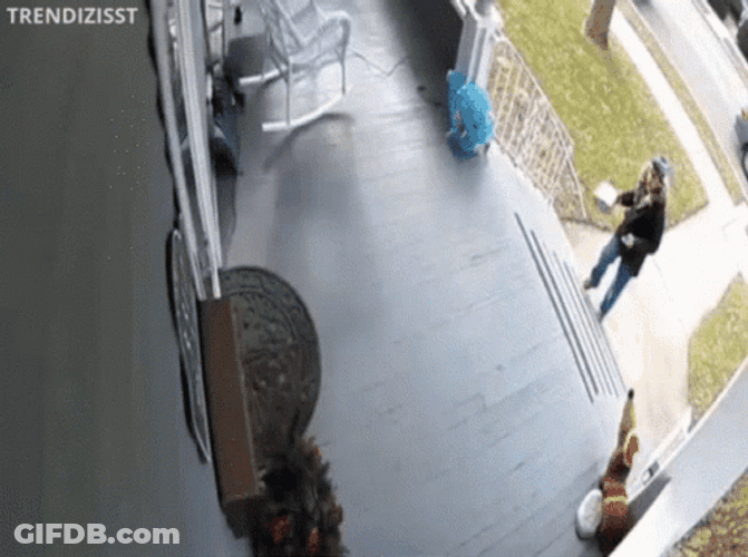 Unruly Amazon Delivery Guy Caught On Camera GIF