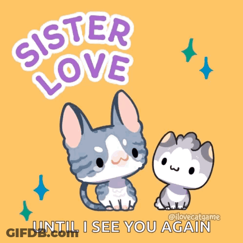 Until I See You Again On Sister Day GIF
