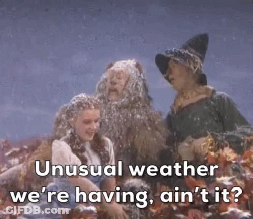 Unusual Weather We 'Re Having Ain 'T It ? Is Written On A Picture Of Wizard Of Oz Characters GIF