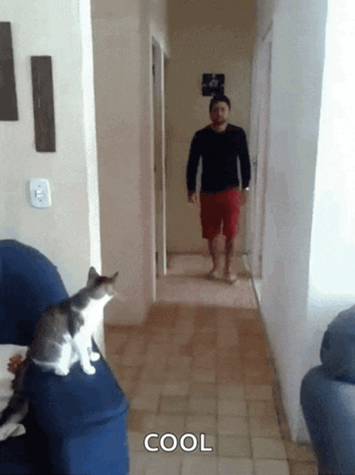 Up Cool GIF