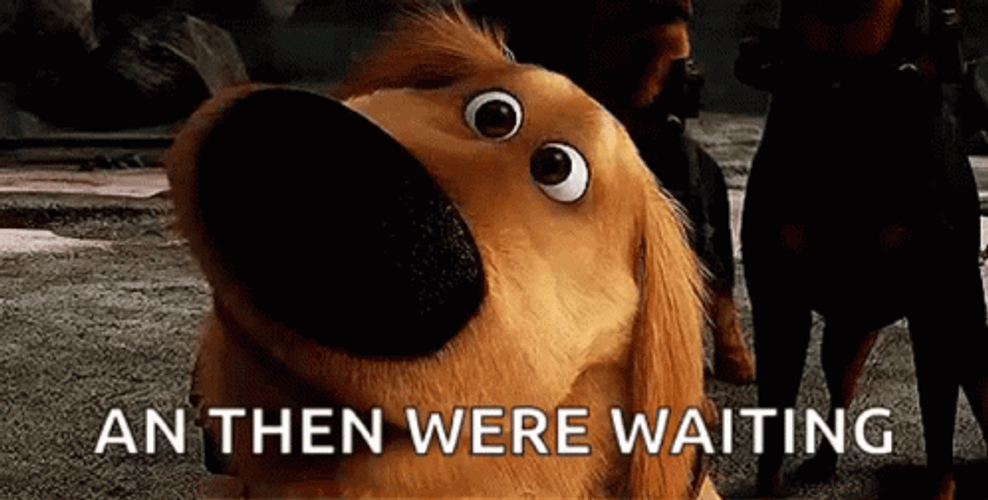 Up Dog And Then Well Were Waiting GIF
