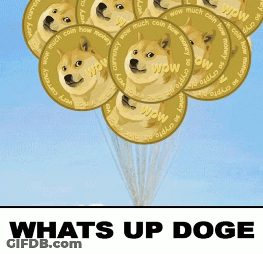Up Whats Up Doge GIF