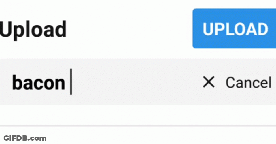 Upload Bacon Invalid URL GIF