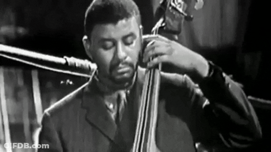 Upright Bass Man Side Eye Meme GIF