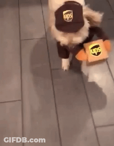 Ups Delivery Driver Surrounded By Hearts GIF