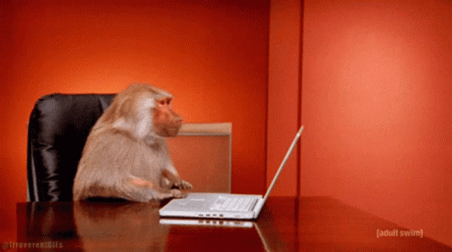 Upset Monkey Drop Laptop GIF