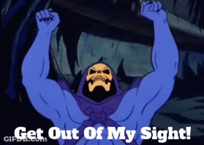Upset Skeletor Get Out Of My Sight GIF