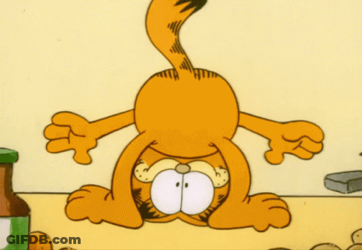 Upside Down Garfield GIF