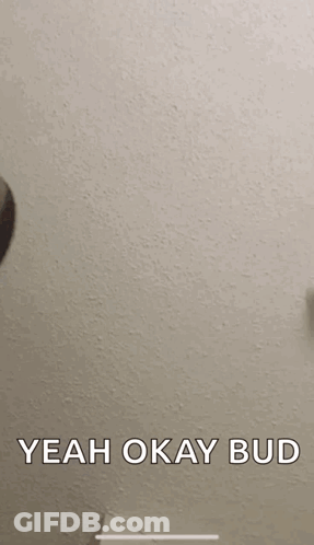 Upside Down Head With Yeah Okay Bud GIF