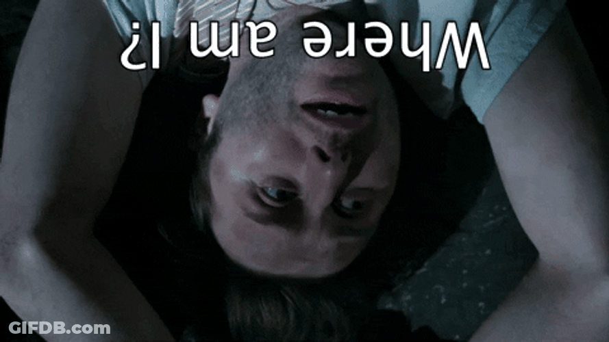 Upside Down Lost Guy Where Am I GIF