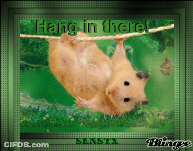 Upside Down Mouse Is Hanging In There GIF