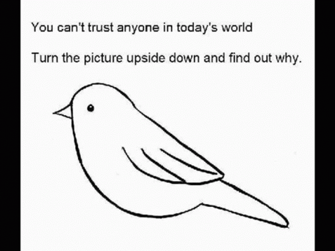 Upside Down Never Gonna Give You Up GIF