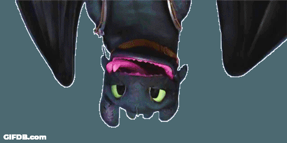 Upside Down Toothless GIF