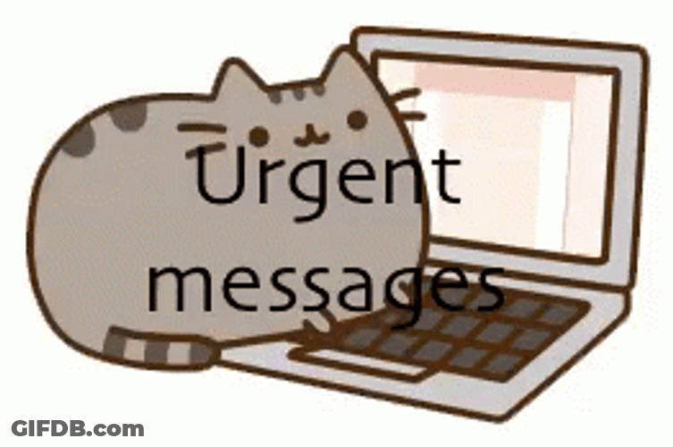 Urgent Messages Of A Cat GIF