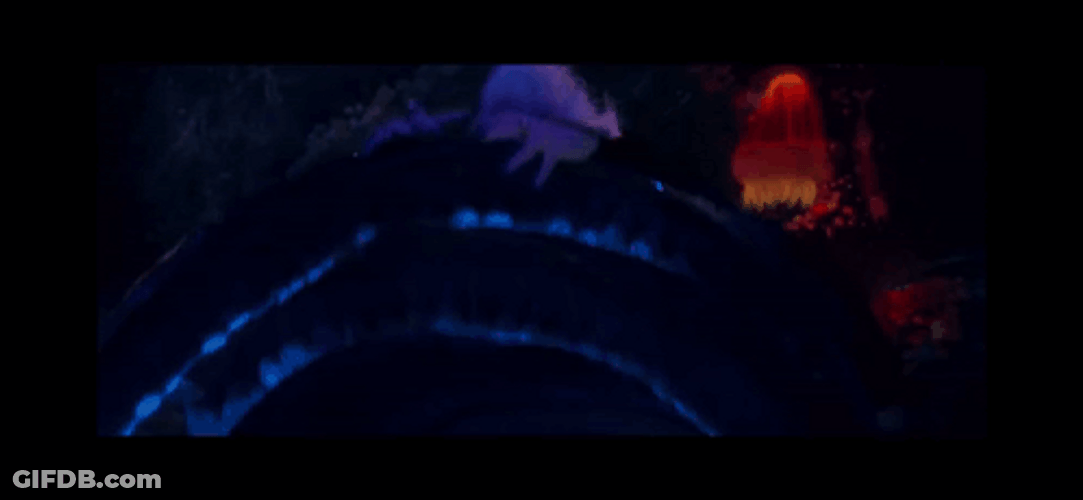 Ursula Melissa Mccarthy GIF