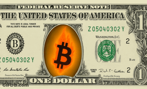 US One Dollar Bill GIF