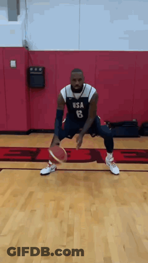 Usa Basketball Lebron James Dribbling GIF