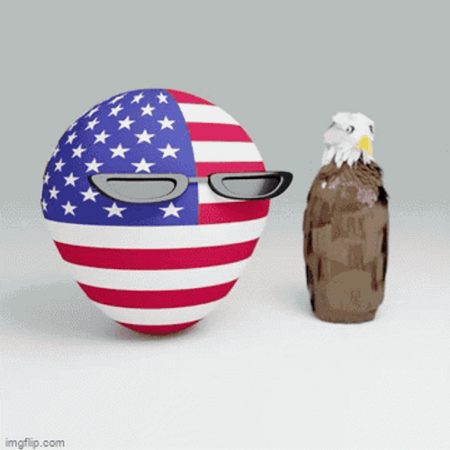USA Don't Say That Word Countryballs GIF