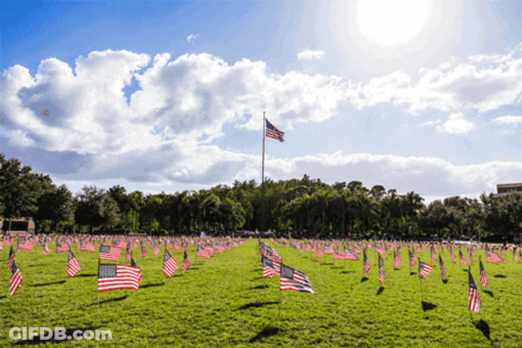 Usa Flag American Flag Usa GIF