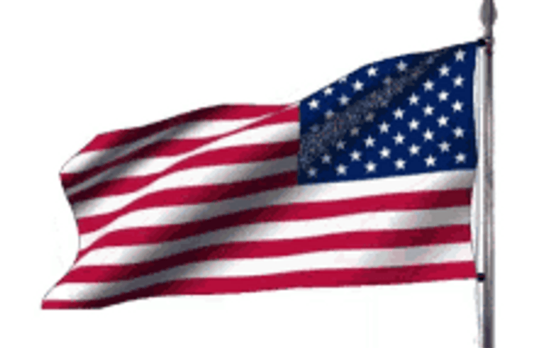Usa Flag Animated Icon GIF