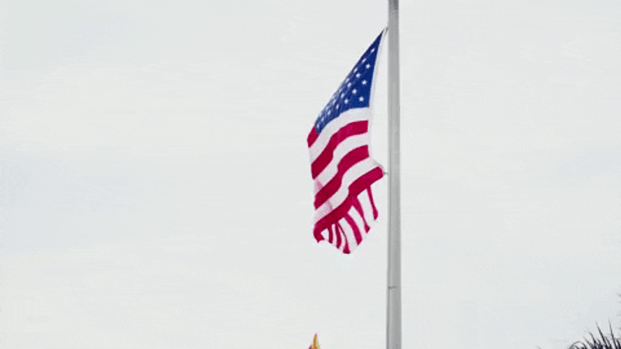 Usa Flag Fourth Of July America GIF