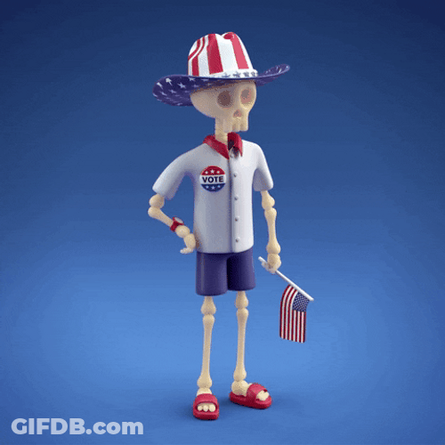 Usa Flag Skeleton Costume GIF